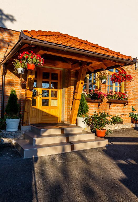 Guest House Vila Djokic 즐라티보 외부 사진